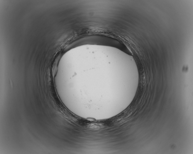 X0000096630508200802261207