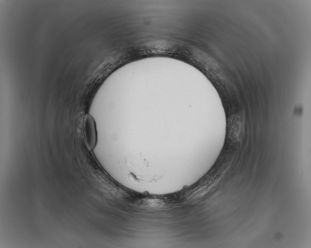 X0000096630509200802261207