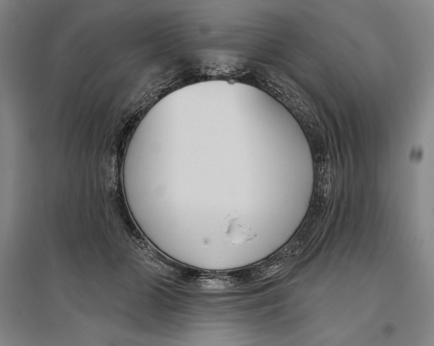 X0000096630510200802261207