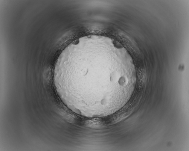 X0000096630511200802261207