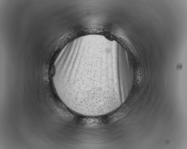 X0000096630512200802261207