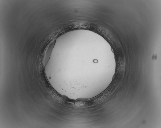 X0000096630513200802261207