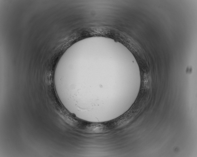 X0000096630514200802261207