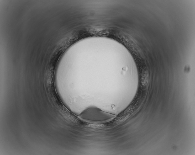 X0000096630515200802261207