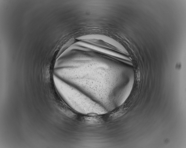 X0000096630516200802261207