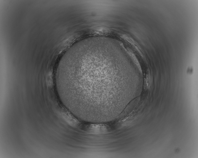 X0000096630520200802261207