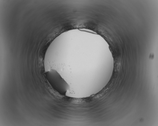 X0000096630521200802261207