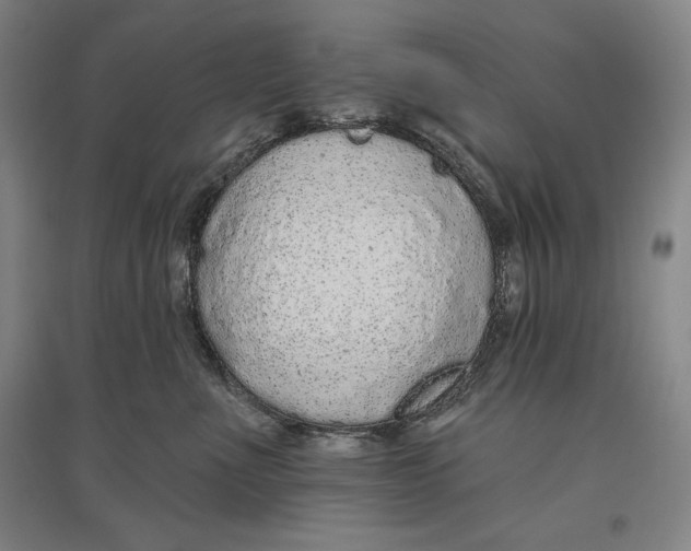 X0000096630523200802261207