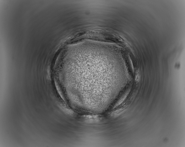 X0000096630524200802261207