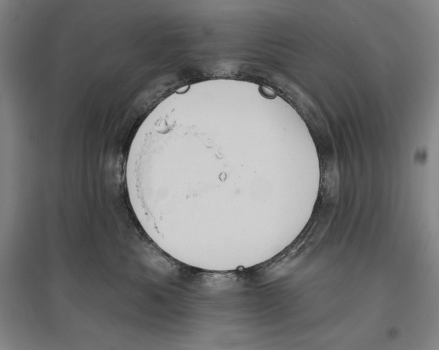 X0000096630525200802261207