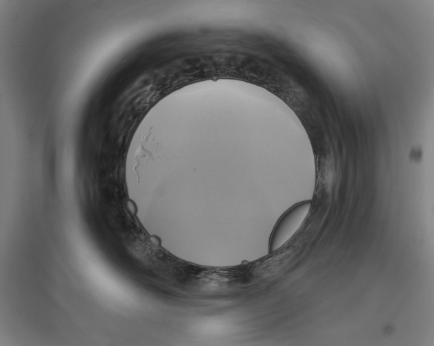 X0000096630526200802261207