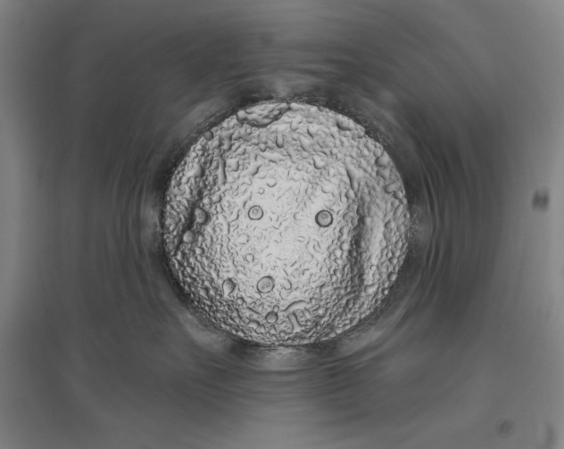 X0000096630527200802261207