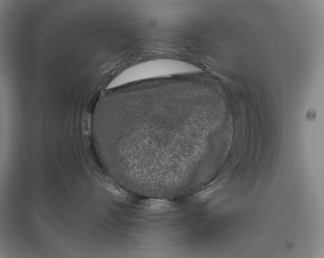 X0000096630528200802261207