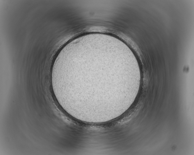 X0000096630529200802261206