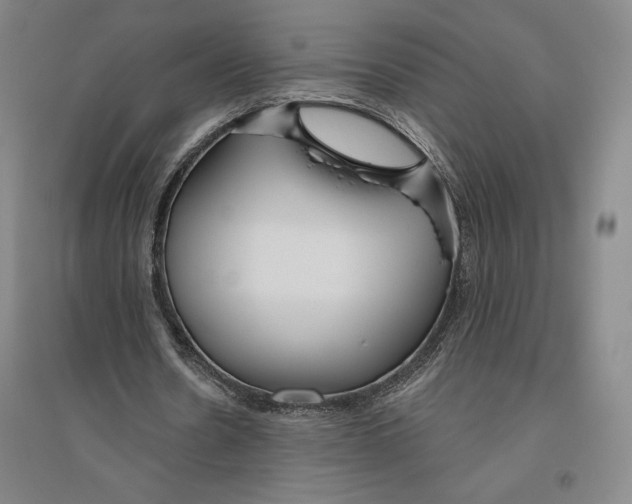 X0000096630530200802261207