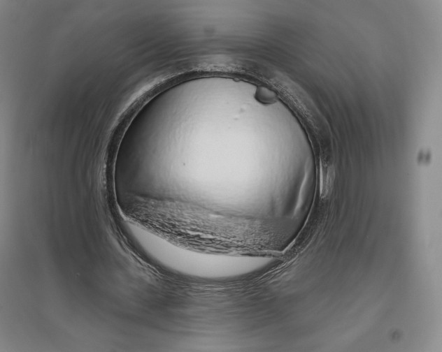 X0000096630531200802261207