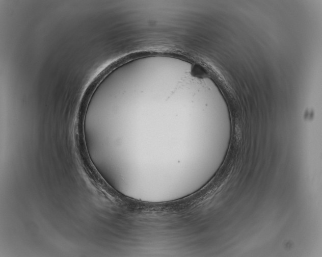 X0000096630532200802261207