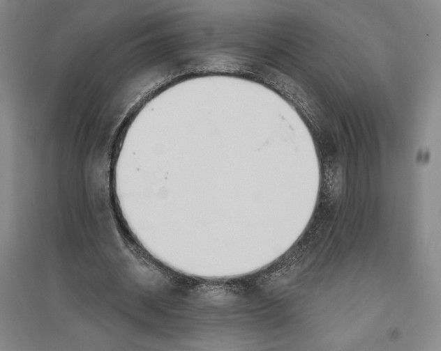 X0000096630534200802261207