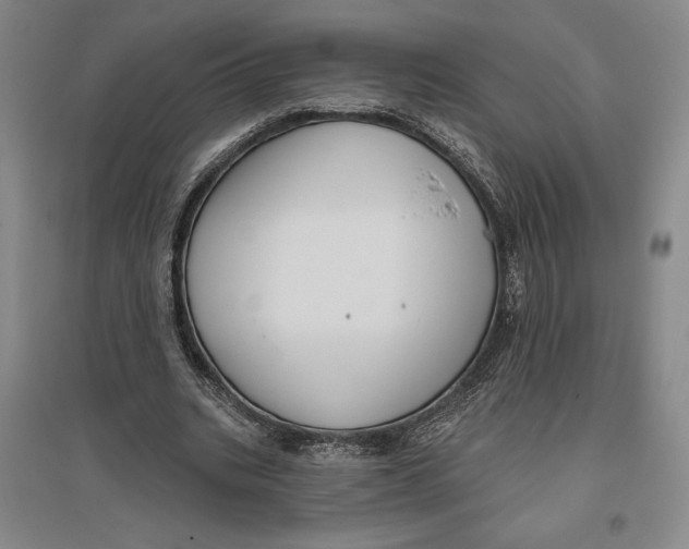 X0000096630535200802261207