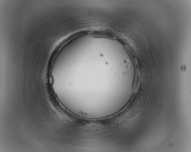 X0000096630536200802261207