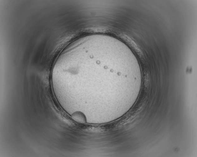 X0000096630537200802261207