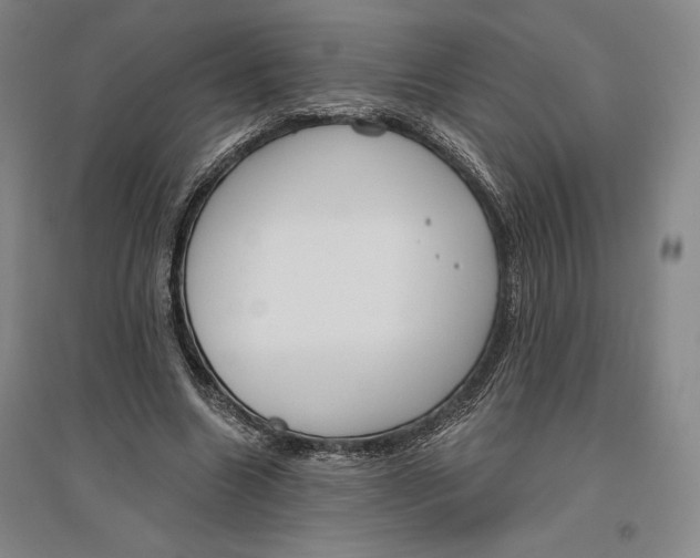 X0000096630538200802261207