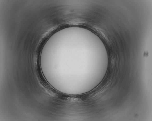 X0000096630539200802261207