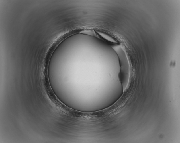 X0000096630540200802261207