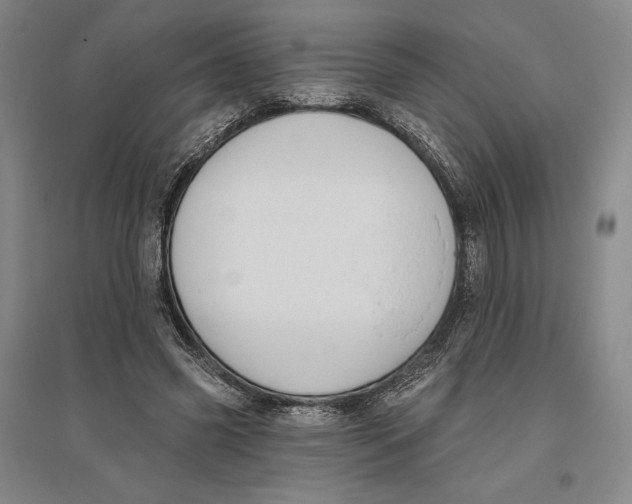 X0000096630541200802261207