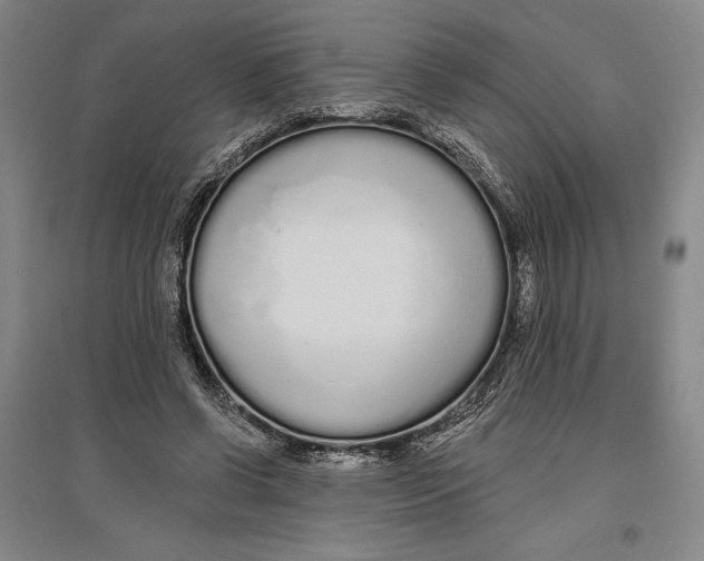 X0000096630542200802261207