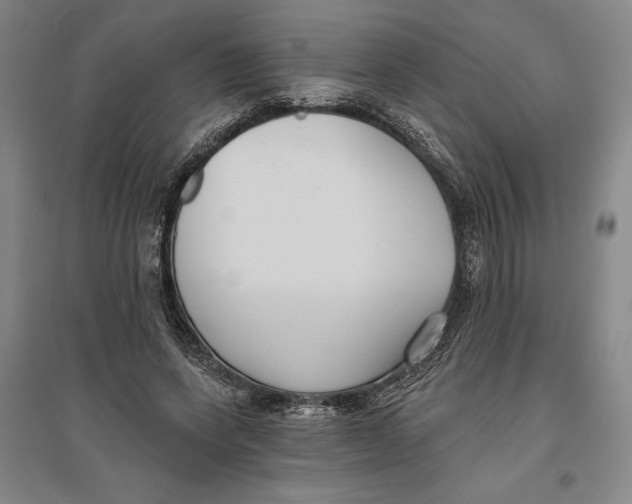 X0000096630543200802261207