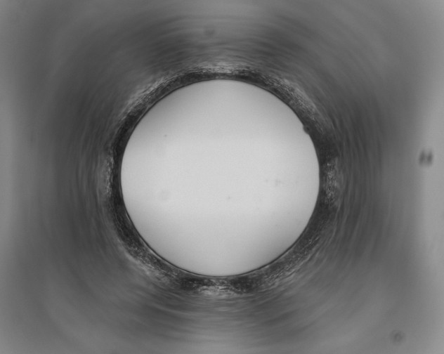 X0000096630544200802261207