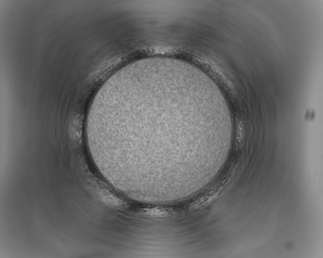 X0000096630545200802261207