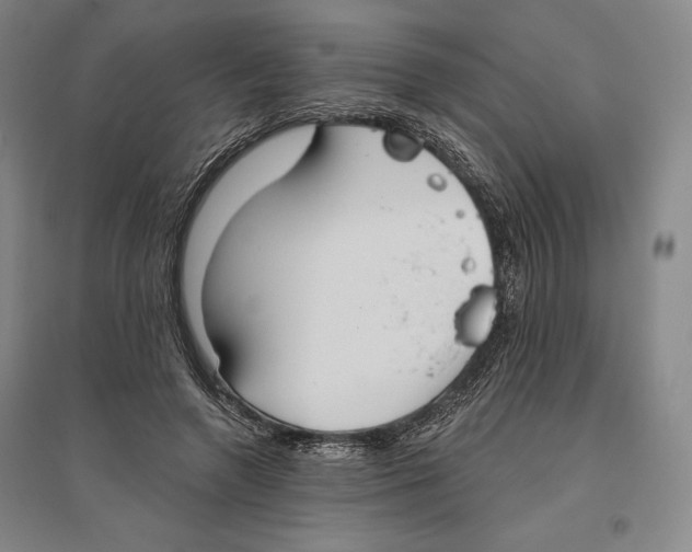 X0000096630546200802261207