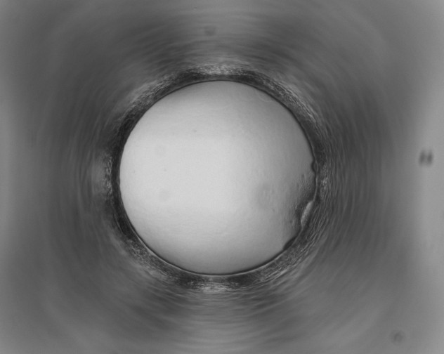 X0000096630547200802261207