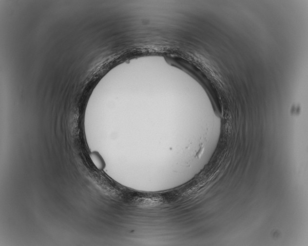 X0000096630548200802261207