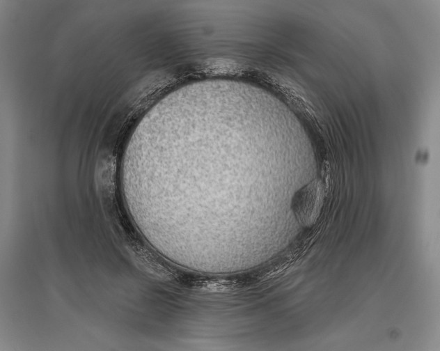 X0000096630550200802261207