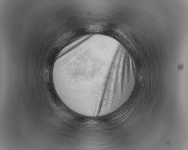 X0000096630551200802261207