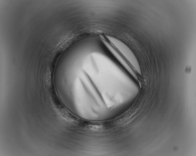 X0000096630552200802261207