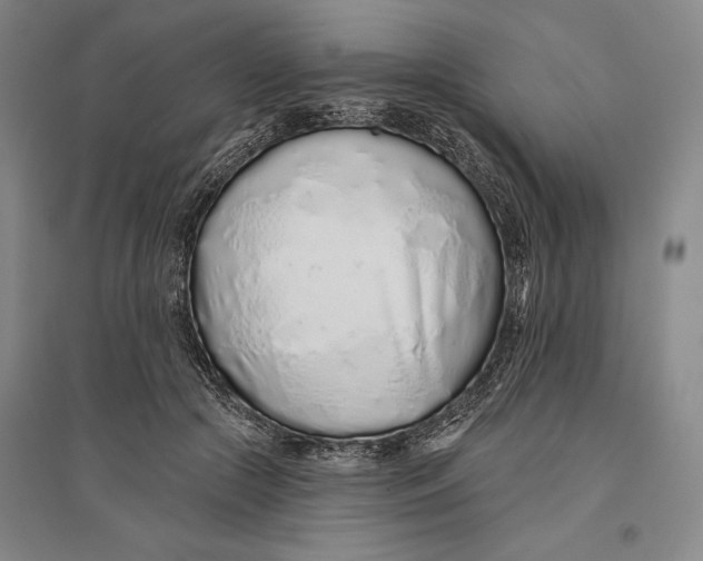 X0000096630553200802261207