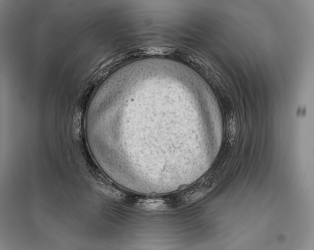 X0000096630554200802261207