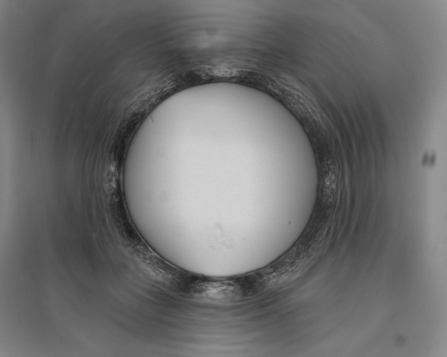 X0000096630555200802261207