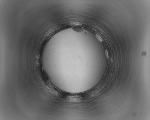 X0000096630556200802261207