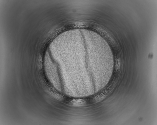 X0000096630557200802261207