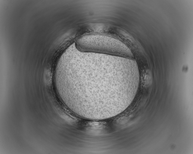 X0000096630558200802261207