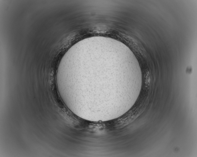 X0000096630559200802261207