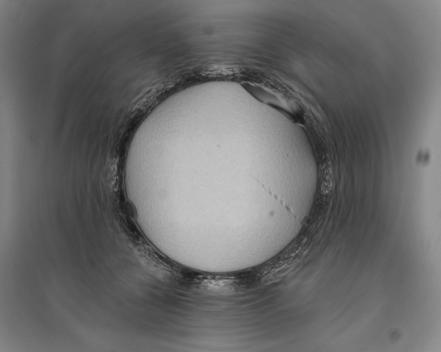 X0000096630560200802261207