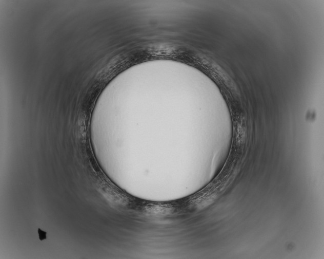 X0000096630561200802261207