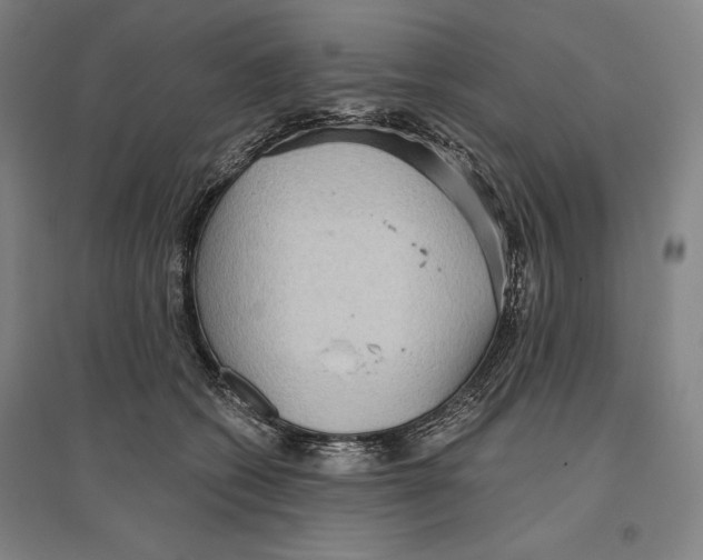 X0000096630562200802261207