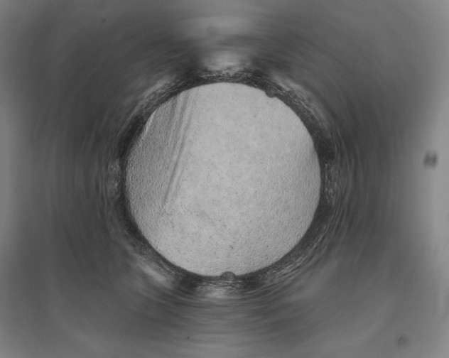 X0000096630563200802261207